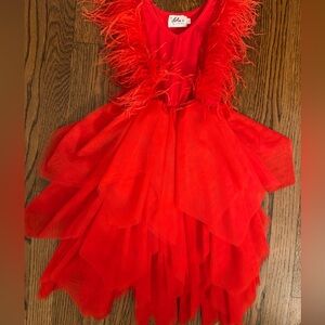 Lola + The Boys Red Feathered Layered Dress